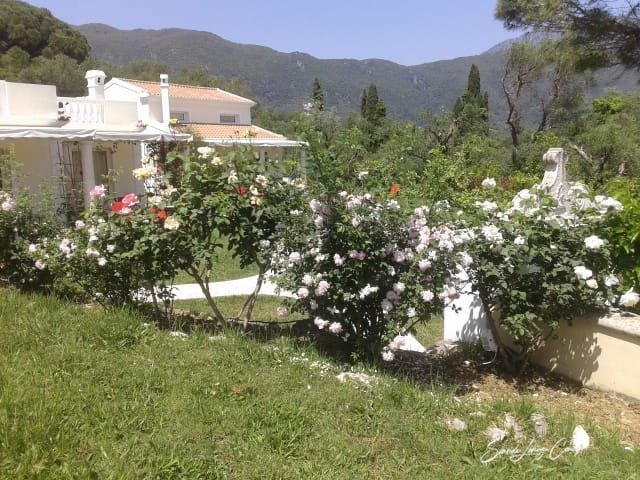 Kato Korakiana Hotel