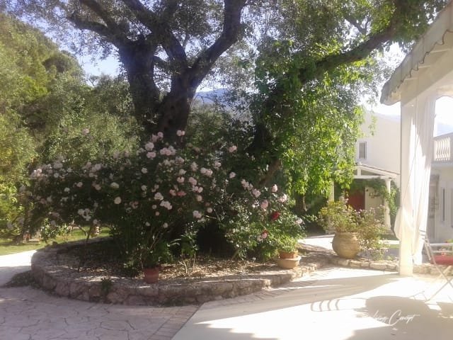 Kato Korakiana Hotel