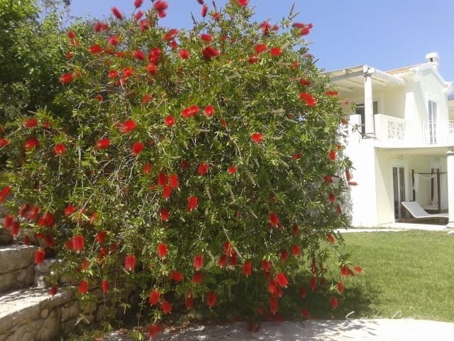 Kato Korakiana Hotel