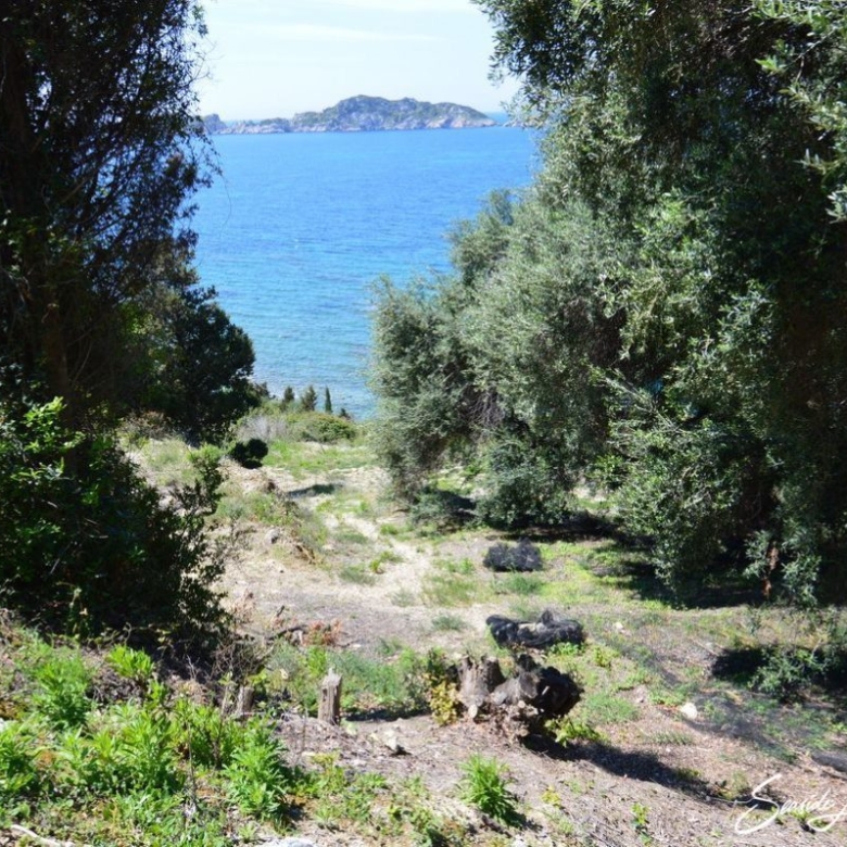 Afionas-Land for Sale