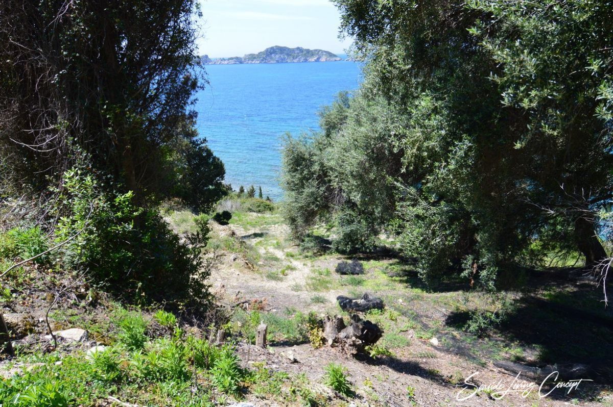 Afionas-Land for Sale