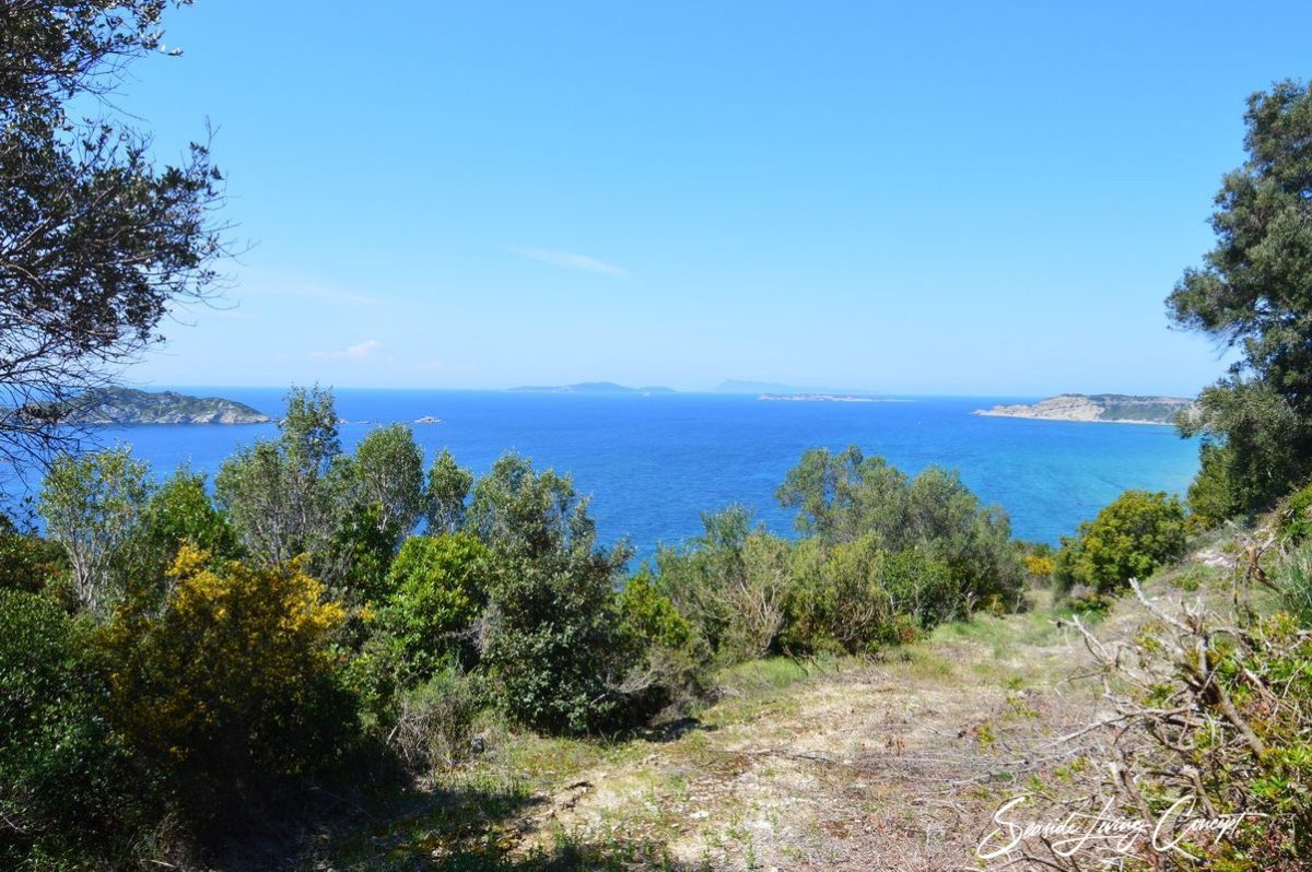 Afionas-Land for Sale