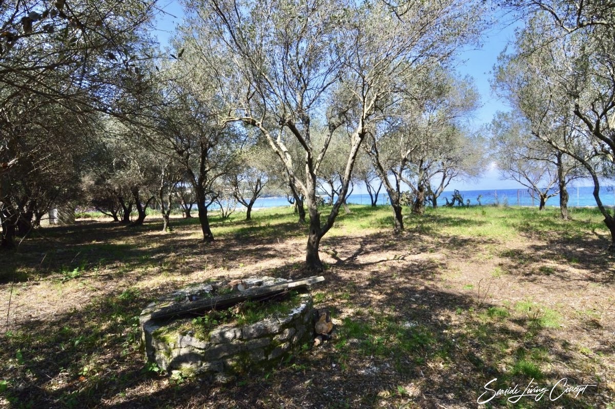 Avlaki-Land for sale