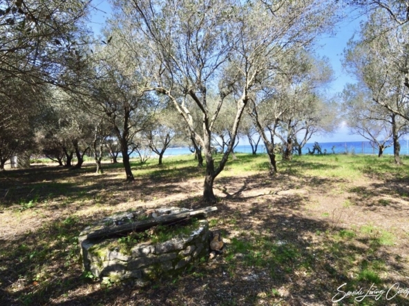 Avlaki-Land for sale