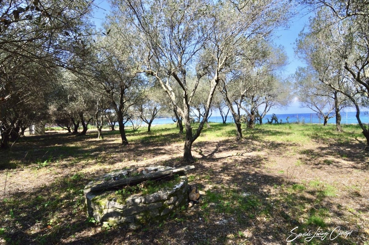 Avlaki-Land for sale