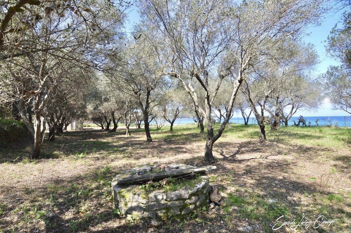 Avlaki-Land for sale