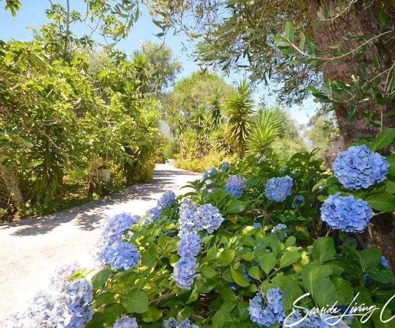 Chalikounas 2401 (29)