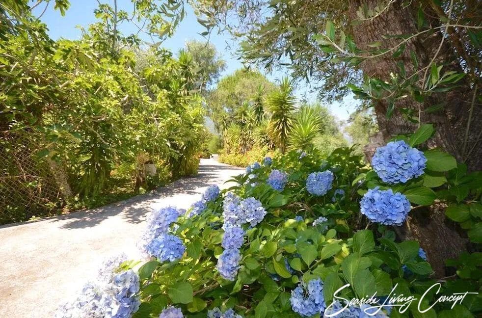 Chalikounas 2401 (29)