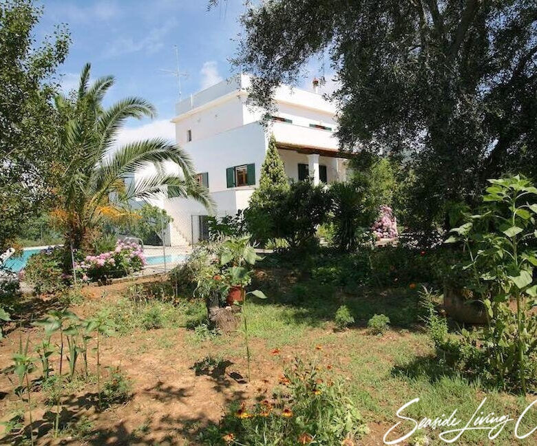 Chalikounas 2401 (32)