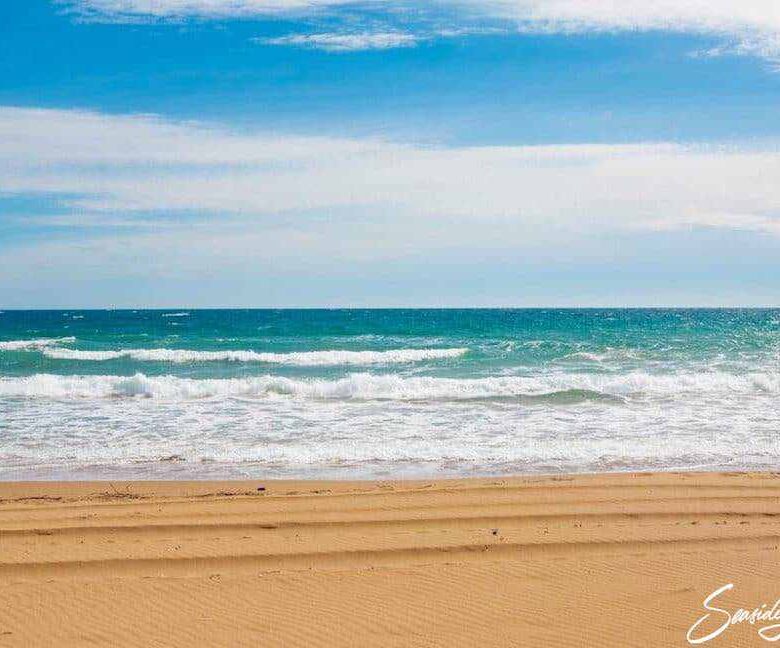 Chalikounas 2405 (15)