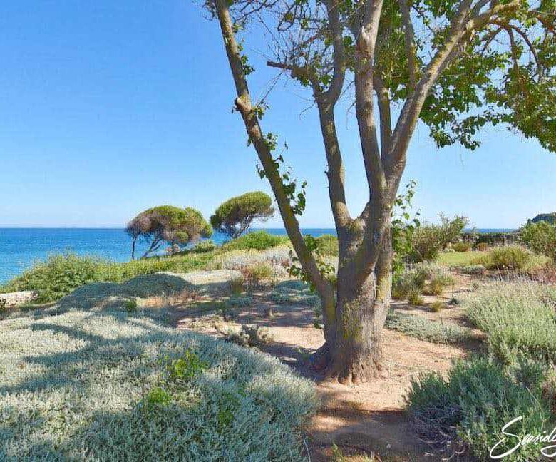 Chalikounas 2405 (35)