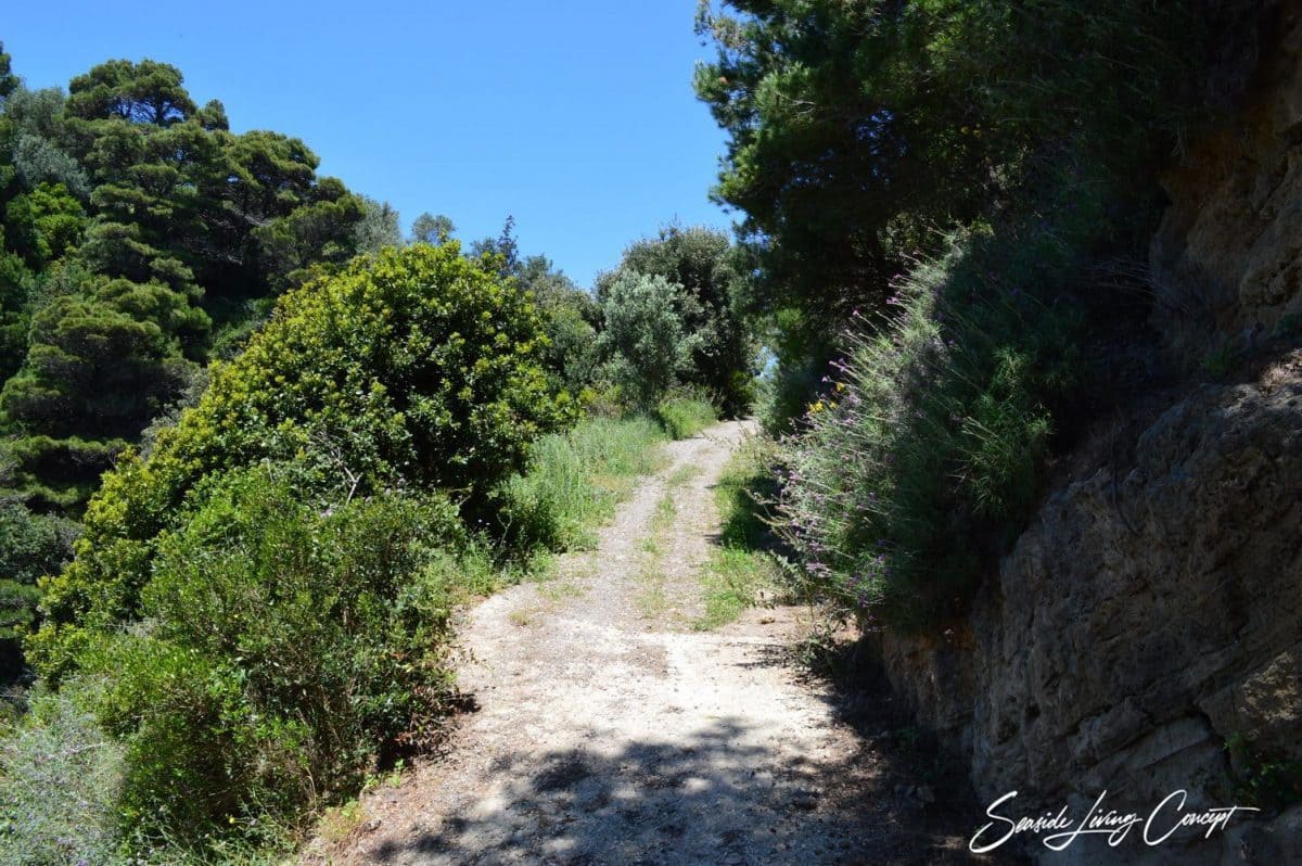 Glyfada GGLY 2401 (11)