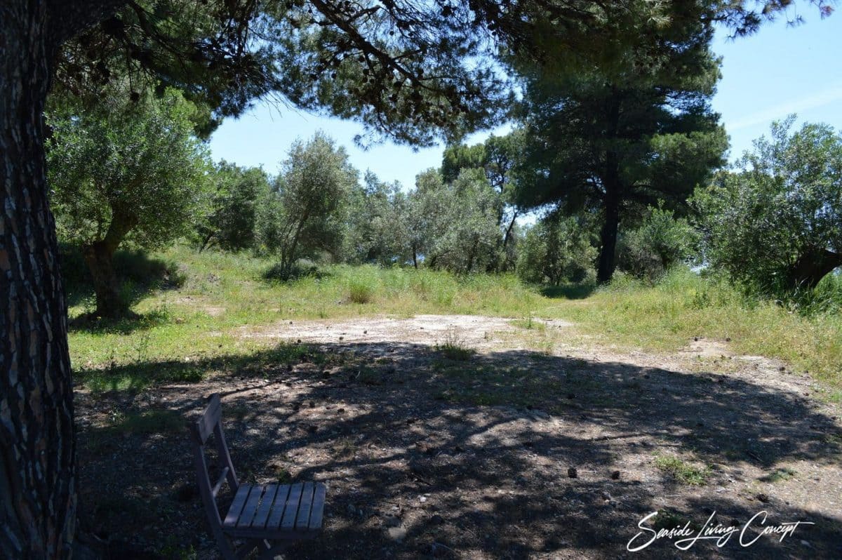 Glyfada GGLY 2401 (15)