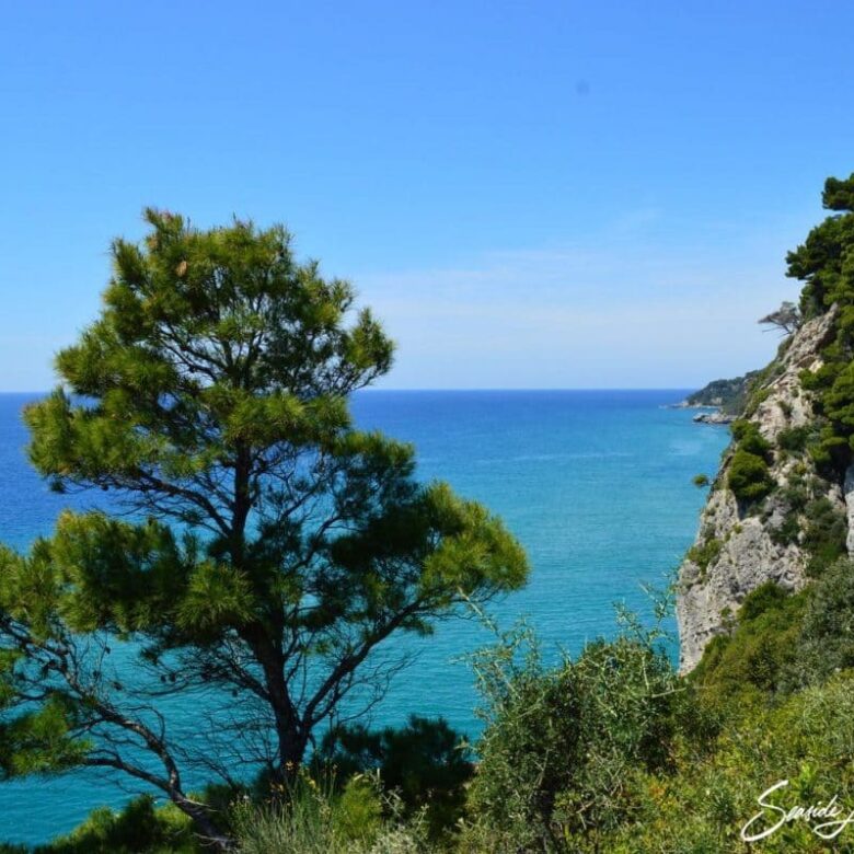 Glyfada GGLY 2401 (7)