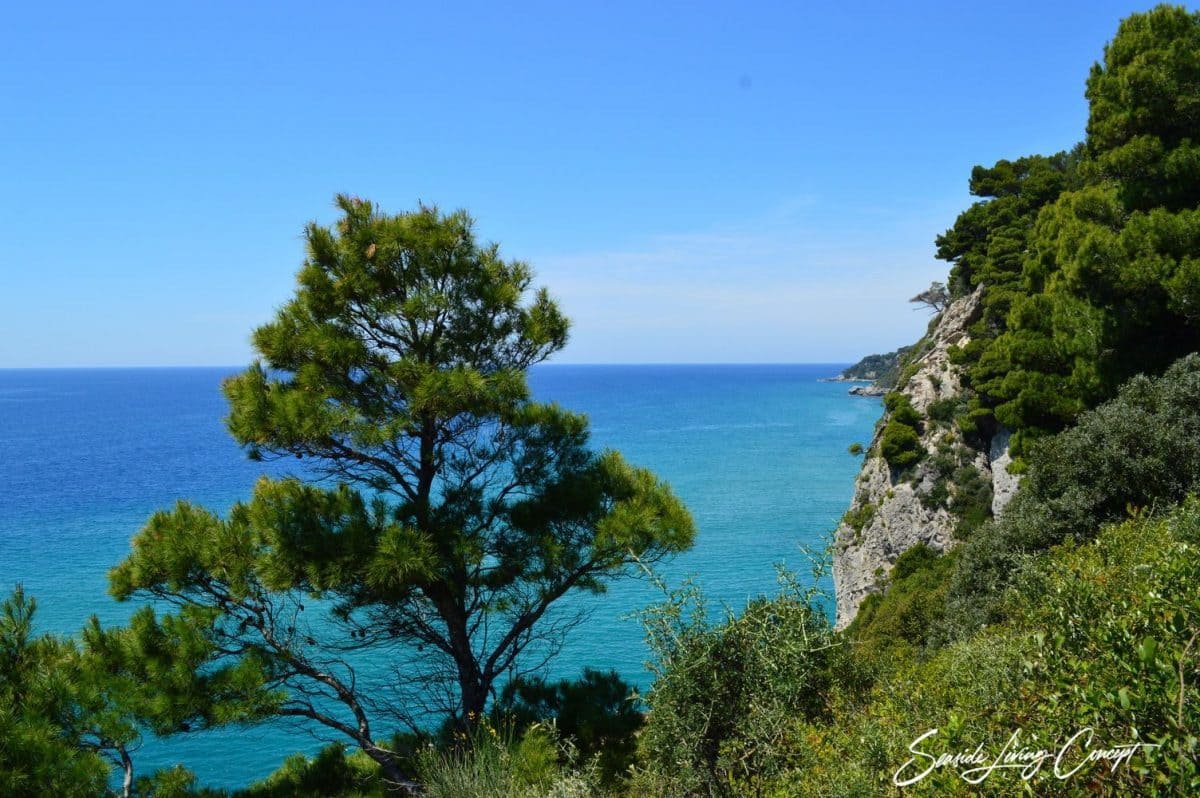 Glyfada GGLY 2401 (7)