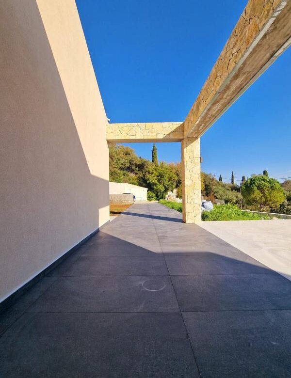 Kinopiastes 2401 (13)