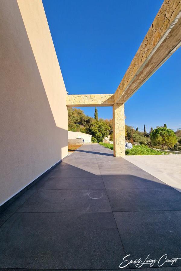 Kinopiastes 2401 (13)