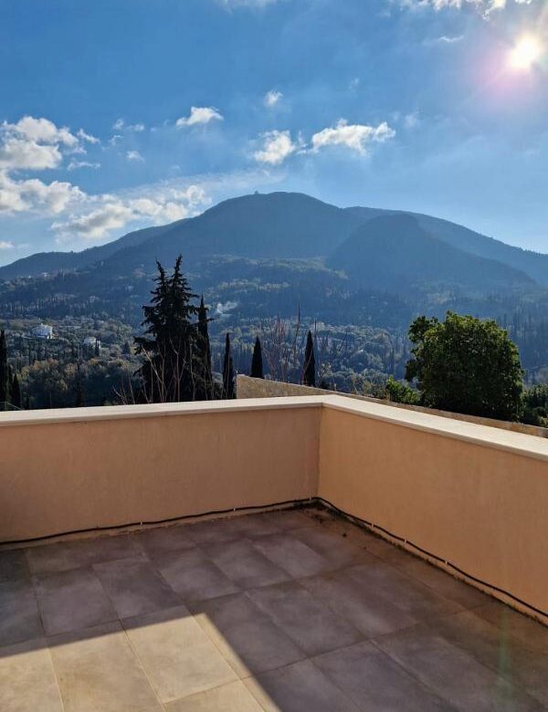 Kinopiastes 2401 (14)