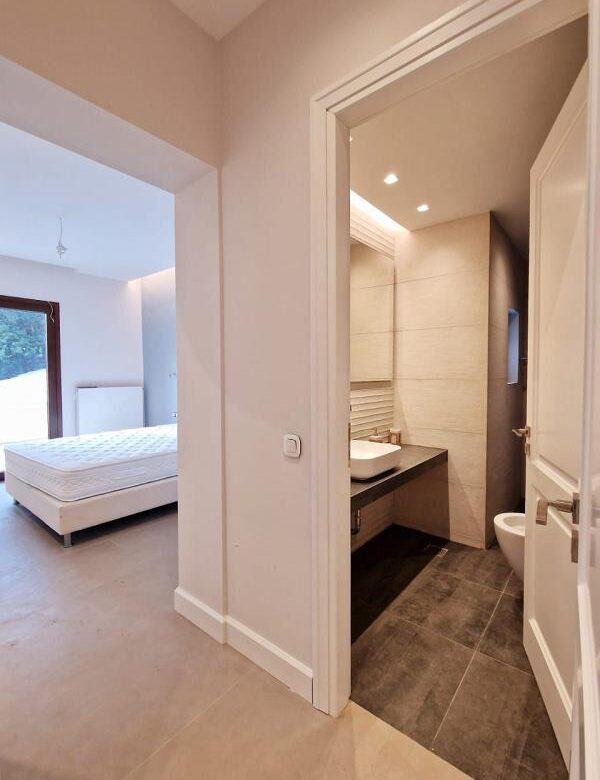 Kinopiastes 2401 (27)