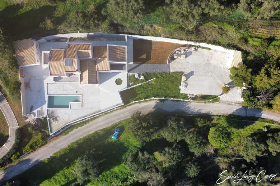 Kinopiastes 2401 (6)