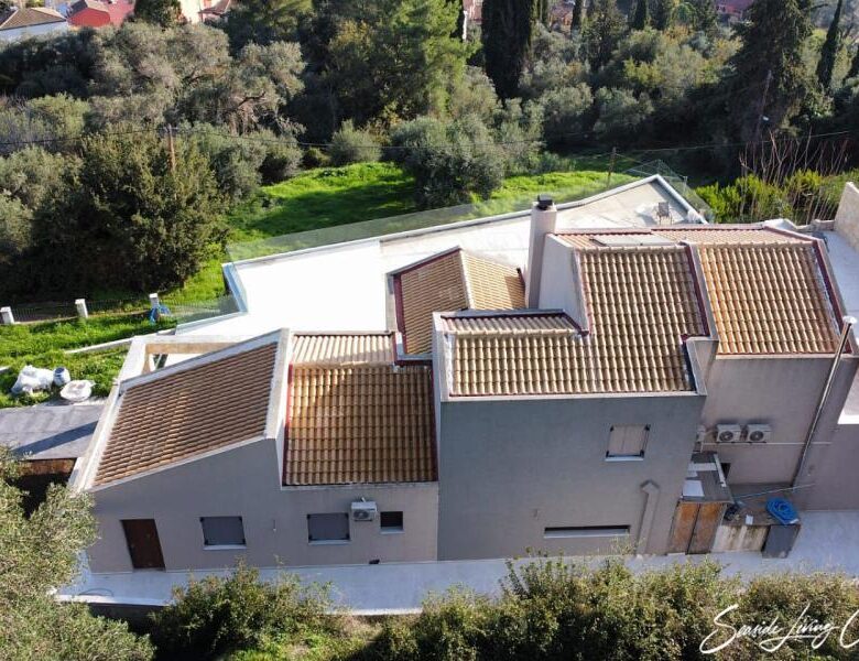 Kinopiastes 2401 (8)