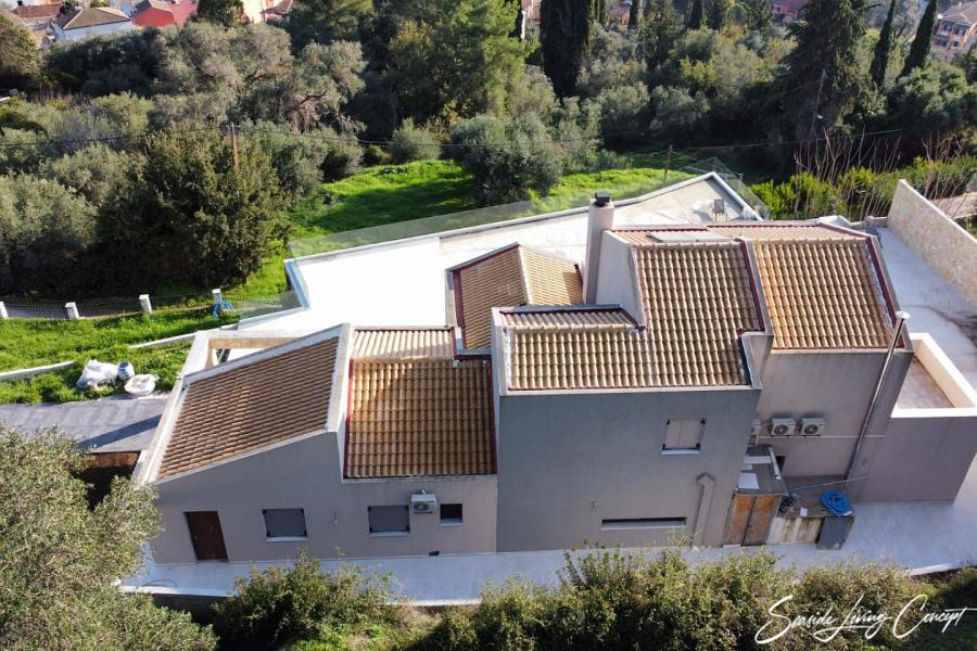 Kinopiastes 2401 (8)