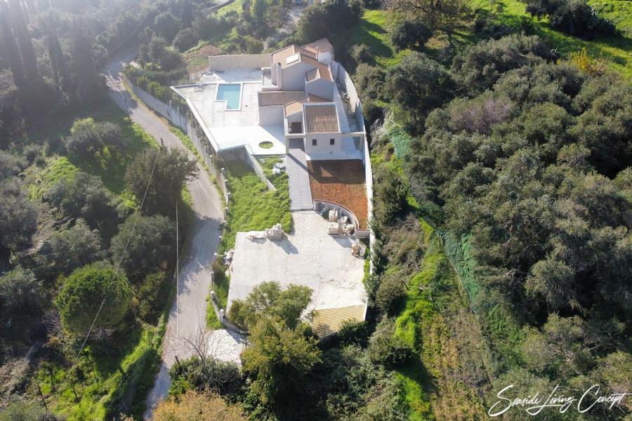 Kinopiastes 2401 (9)