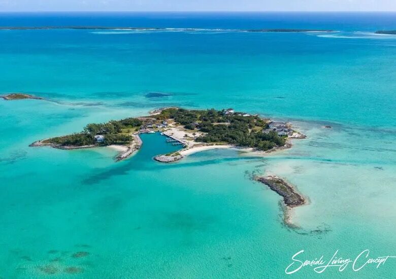 Crown_Pigeon_Island_Bahamas_IBAHA 2402_seasidelivingconcept_1