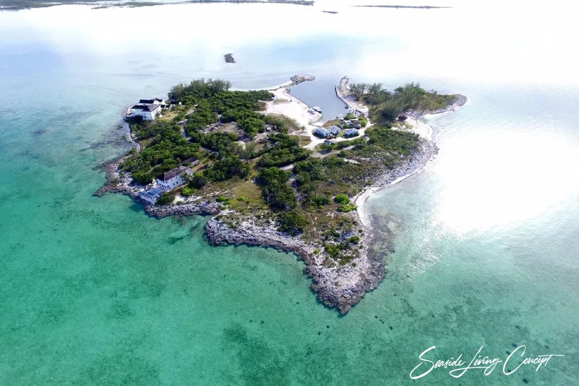 Crown_Pigeon_Island_Bahamas_IBAHA 2402_seasidelivingconcept_14