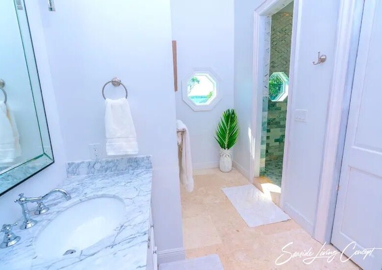 Crown_Pigeon_Island_Bahamas_IBAHA 2402_seasidelivingconcept_36