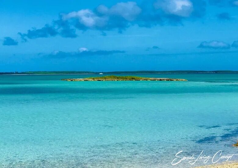 Crown_Pigeon_Island_Bahamas_IBAHA 2402_seasidelivingconcept_40