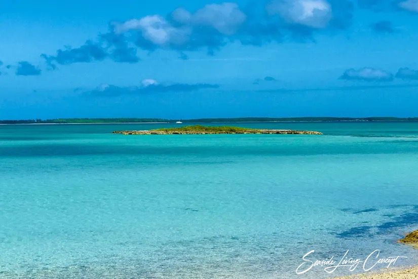 Crown_Pigeon_Island_Bahamas_IBAHA 2402_seasidelivingconcept_40