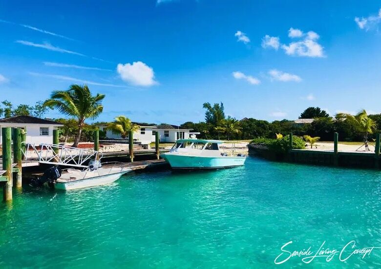 Crown_Pigeon_Island_Bahamas_IBAHA 2402_seasidelivingconcept_42