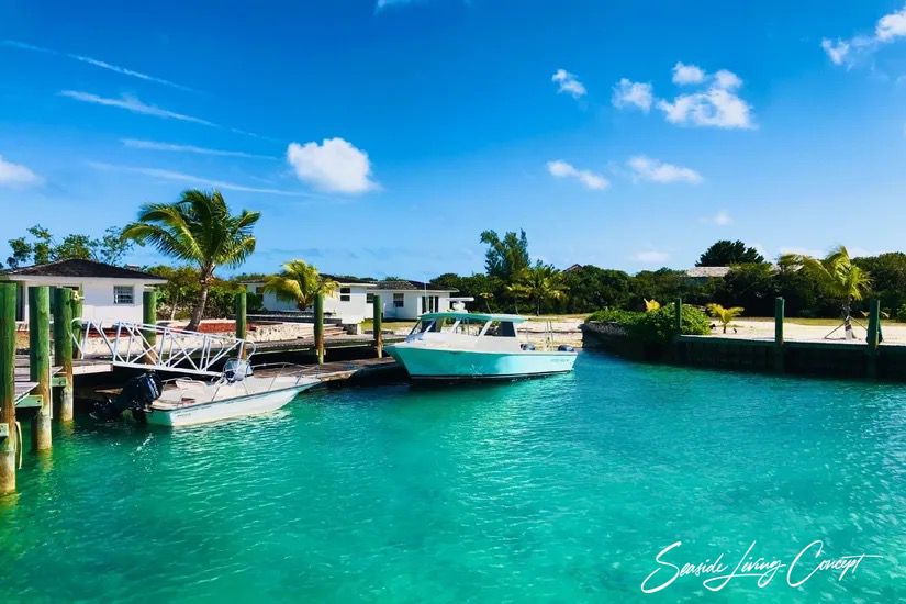 Crown_Pigeon_Island_Bahamas_IBAHA 2402_seasidelivingconcept_42