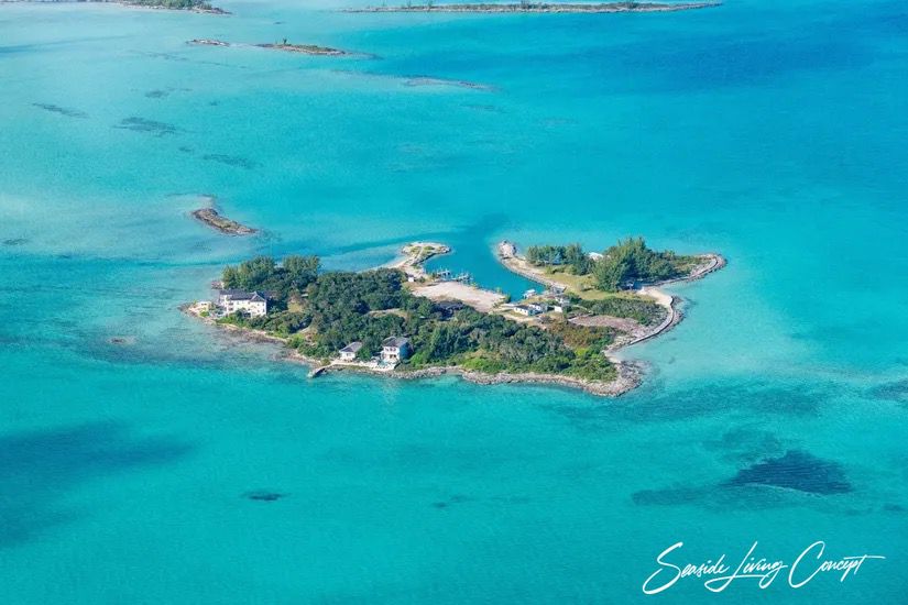 Crown_Pigeon_Island_Bahamas_IBAHA 2402_seasidelivingconcept_44