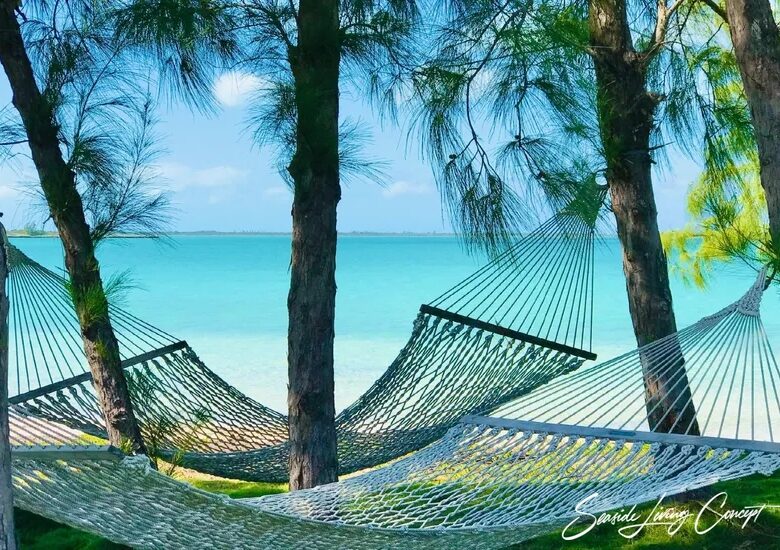Crown_Pigeon_Island_Bahamas_IBAHA 2402_seasidelivingconcept_6
