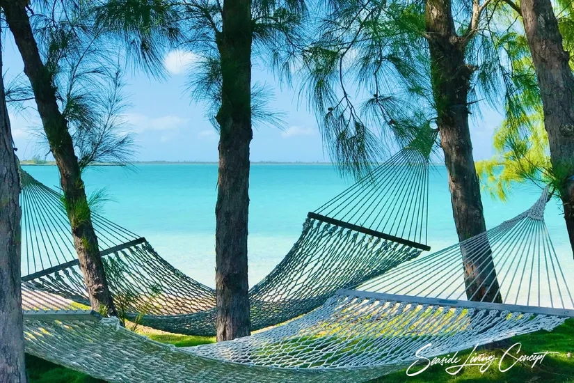 Crown_Pigeon_Island_Bahamas_IBAHA 2402_seasidelivingconcept_6