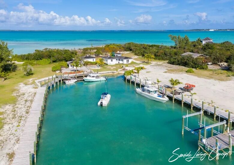 Crown_Pigeon_Island_Bahamas_IBAHA 2402_seasidelivingconcept_9