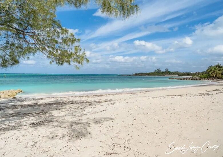 Nassau_Bahamas_IBAHA 2403_seasidelivingconcept_31