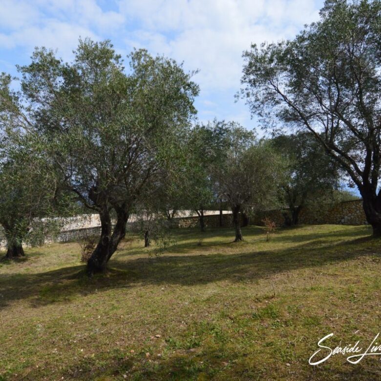 A 2401_seasidelivingconcept_49