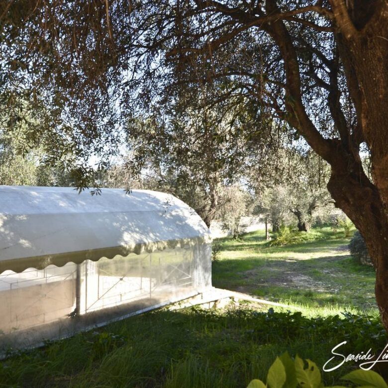 A 2401_seasidelivingconcept_7