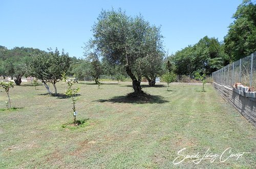 A 2402_seasidelivingconcept_20