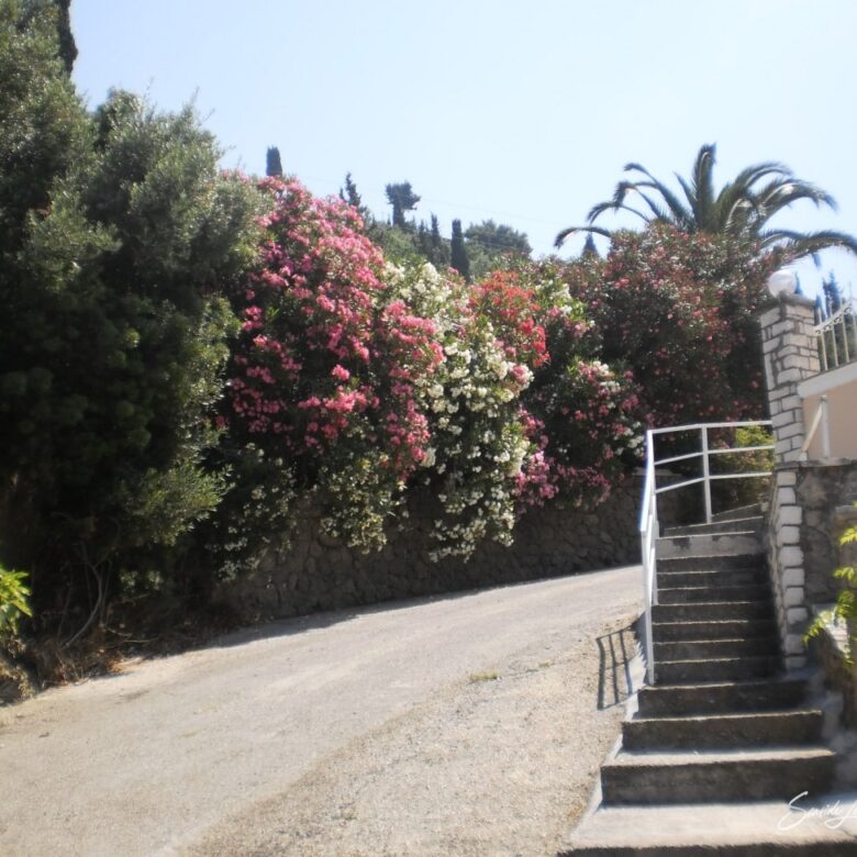 AGG 2401_seasidelivingconcept_4