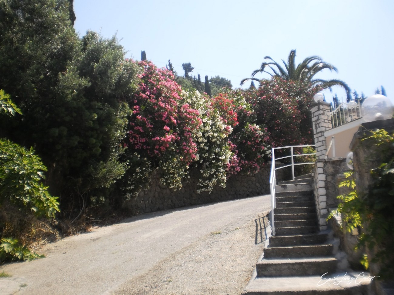 AGG 2401_seasidelivingconcept_4