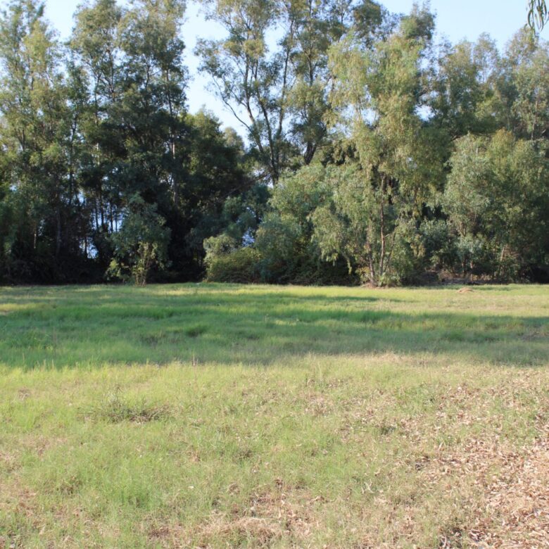 ALY 2401_seasidelivingconcept_17