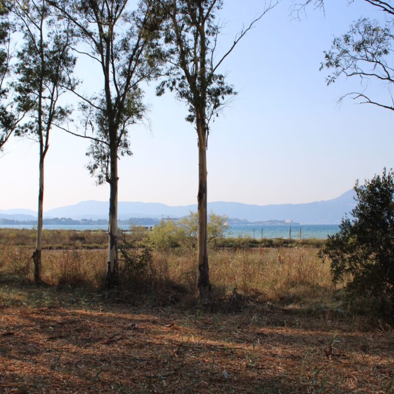 ALY 2401_seasidelivingconcept_29