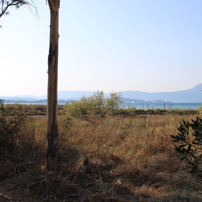 ALY 2401_seasidelivingconcept_31