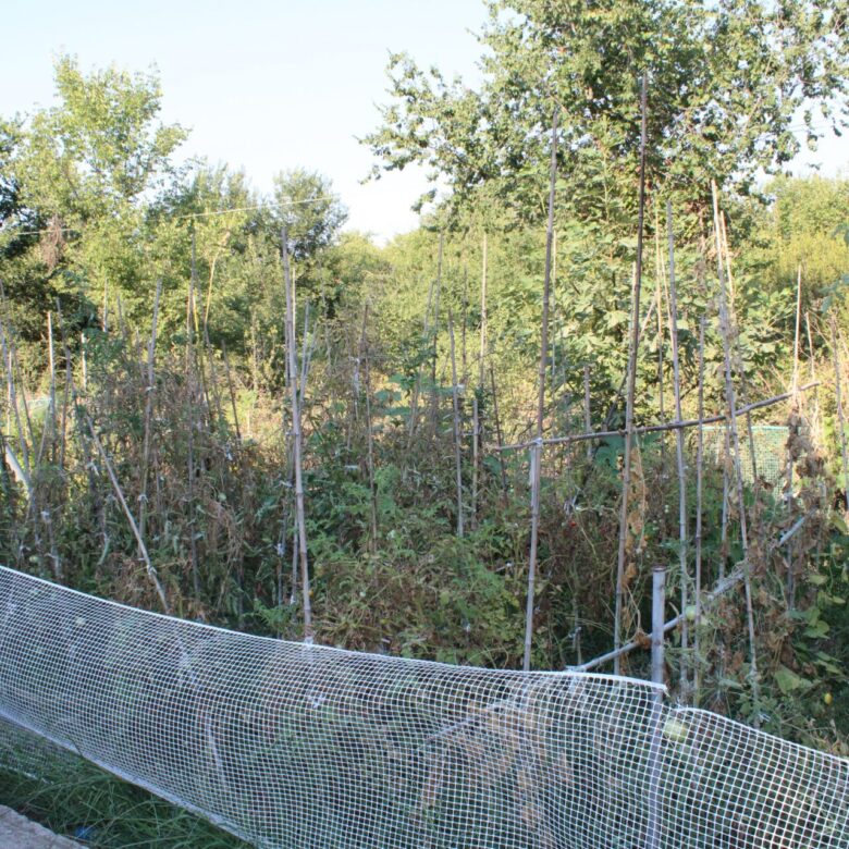 ALY 2401_seasidelivingconcept_33