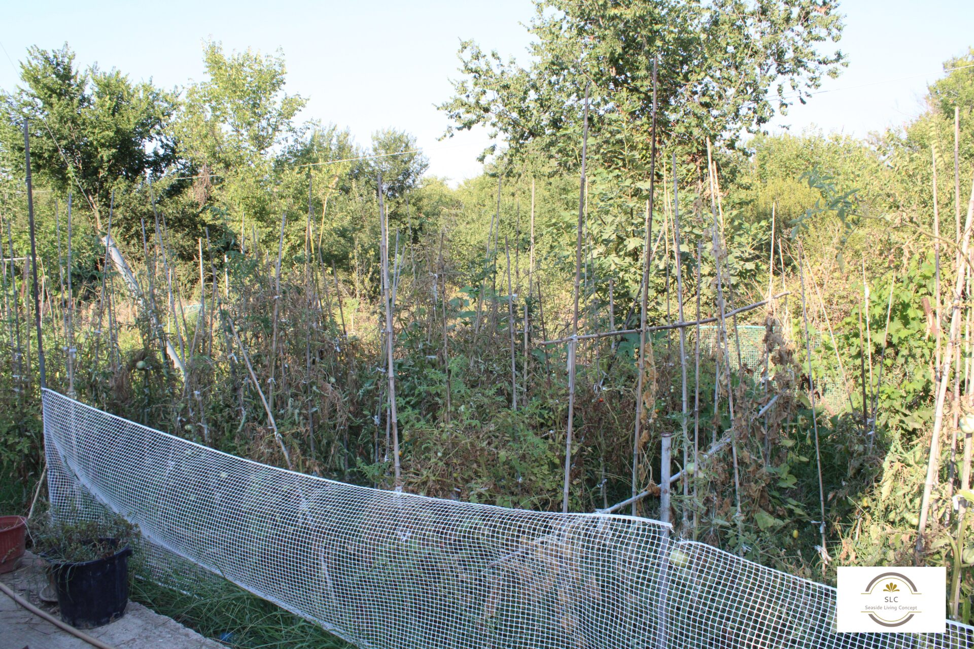 ALY 2401_seasidelivingconcept_33