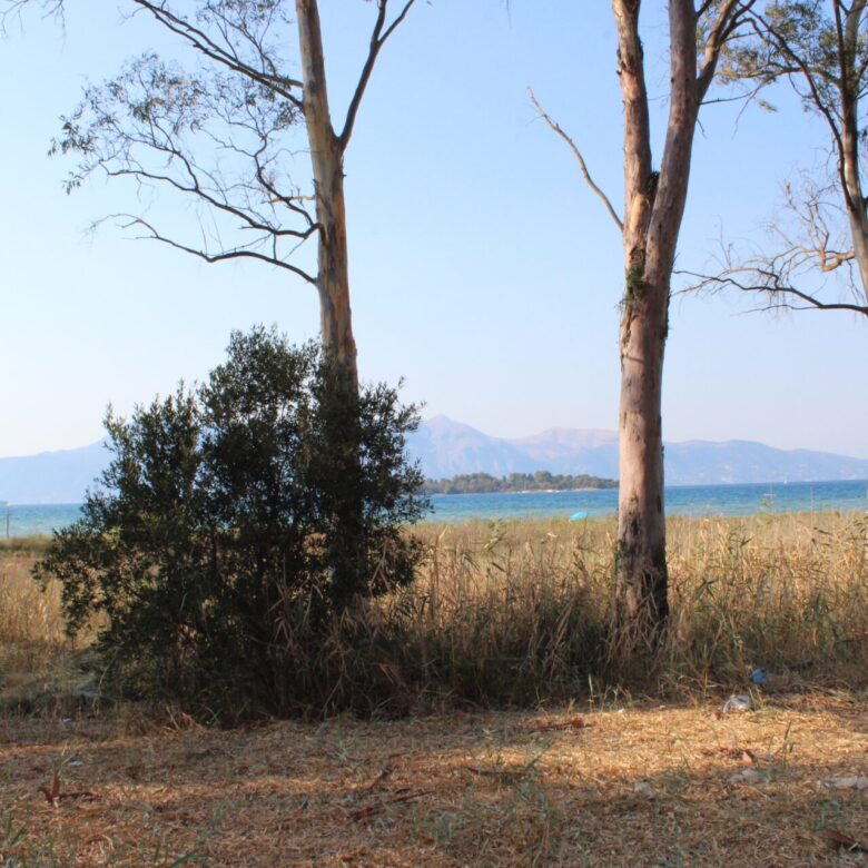 ALY 2401_seasidelivingconcept_40